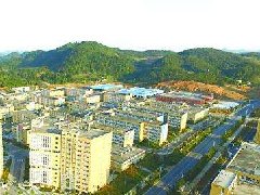 中山：加快建設(shè)東升脆肉鯇、橫欄花木省級現(xiàn)代農(nóng)業(yè)產(chǎn)業(yè)園