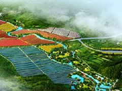 鄭州市工信局：積極構(gòu)建管城區(qū)、經(jīng)開區(qū)、中牟縣“兩區(qū)一縣”氫燃料電池汽車