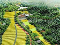 淄川區(qū)：山東淄博農(nóng)業(yè)科技園區(qū)晉升“國家隊(duì)”
