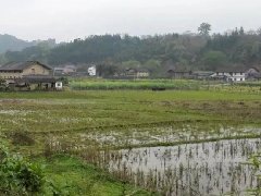 安徽太湖經(jīng)開區(qū)：高標準高質(zhì)量推進特色小鎮(zhèn)建設
