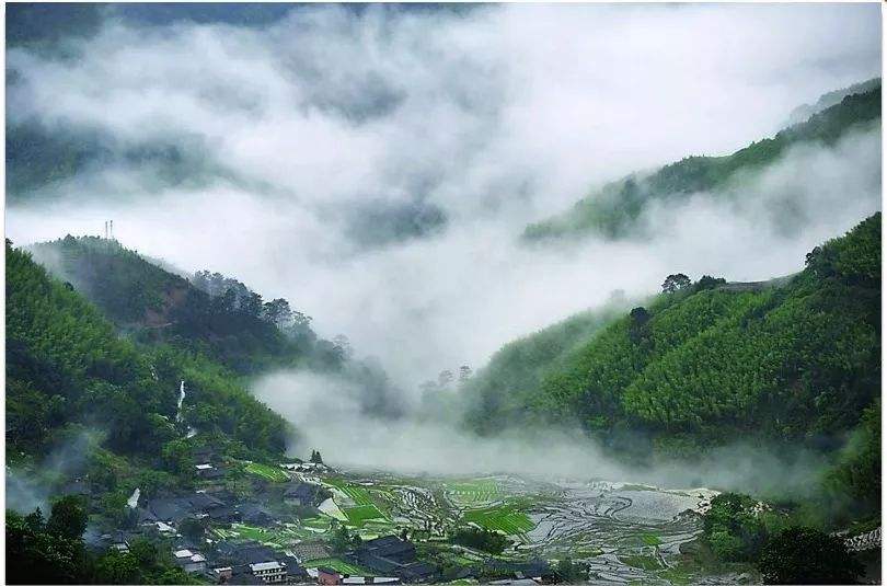 四、農(nóng)村一二三產(chǎn)業(yè)融合發(fā)展先導(dǎo)區(qū)項(xiàng)目