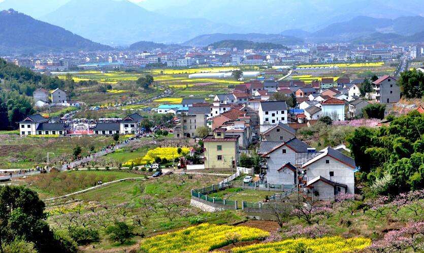 陳文勝：鄉(xiāng)村振興的資本、土地與制度邏輯