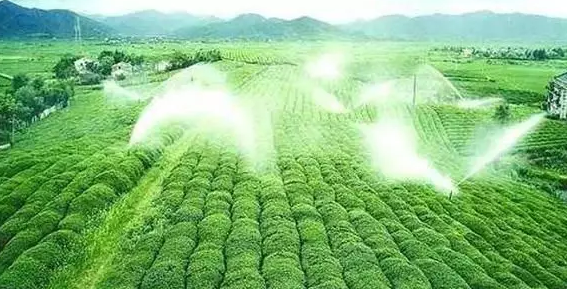 重磅！2019中央一號文件即將發(fā)布！大農(nóng)業(yè)領(lǐng)域迎來新機遇