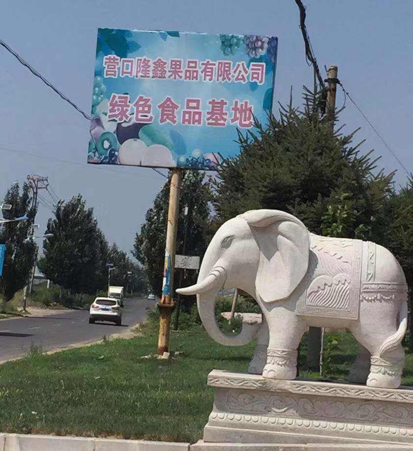東北水果之鄉(xiāng)迎來發(fā)展新機(jī)遇，蓋州爭創(chuàng)省級(jí)現(xiàn)代農(nóng)業(yè)產(chǎn)業(yè)園
