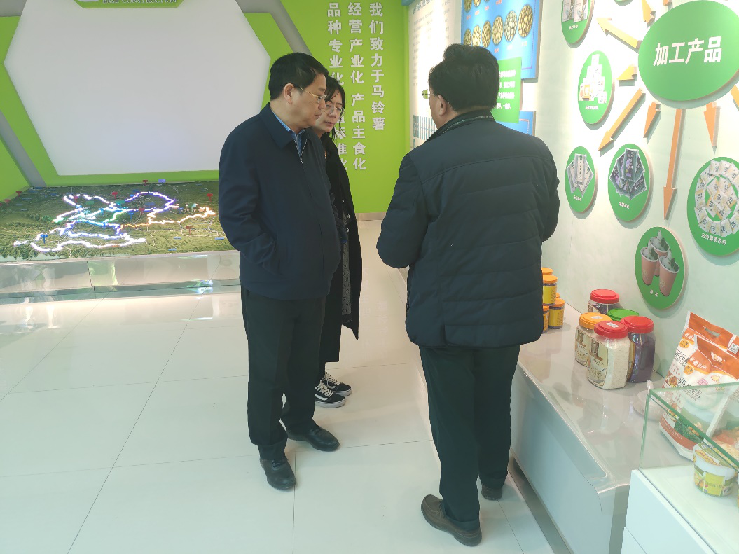 “中國薯都”再奏新旋律，定西市安定區(qū)開啟馬鈴薯產(chǎn)業(yè)發(fā)展新篇章
