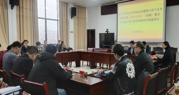 集聚頭腦風暴，為高質(zhì)量編制桃江“十四五”規(guī)劃建言獻策