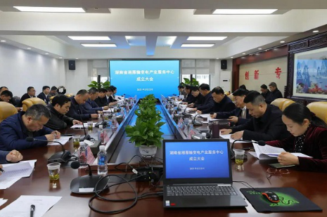 湘雁輸變電產(chǎn)業(yè)服務(wù)中心在長(zhǎng)沙成立，湖南輸變電產(chǎn)業(yè)開啟發(fā)展新篇章