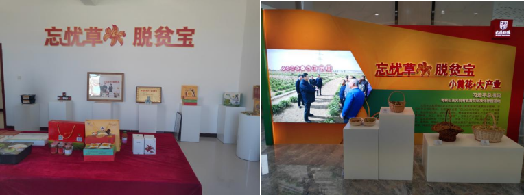打造農(nóng)業(yè)綠色發(fā)展典范，云州區(qū)創(chuàng)建國(guó)家農(nóng)業(yè)綠色發(fā)展先行區(qū)勢(shì)在必行