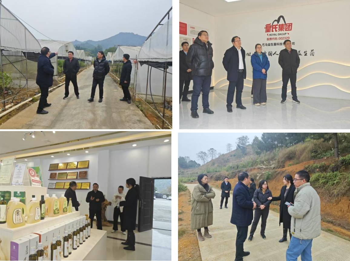 長壽之鄉(xiāng)，逐路之行——高新院專家組一行赴廣西巴馬瑤族自治縣開展河池農(nóng)高區(qū)創(chuàng)建調(diào)研